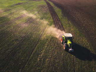 Traktor auf Feld